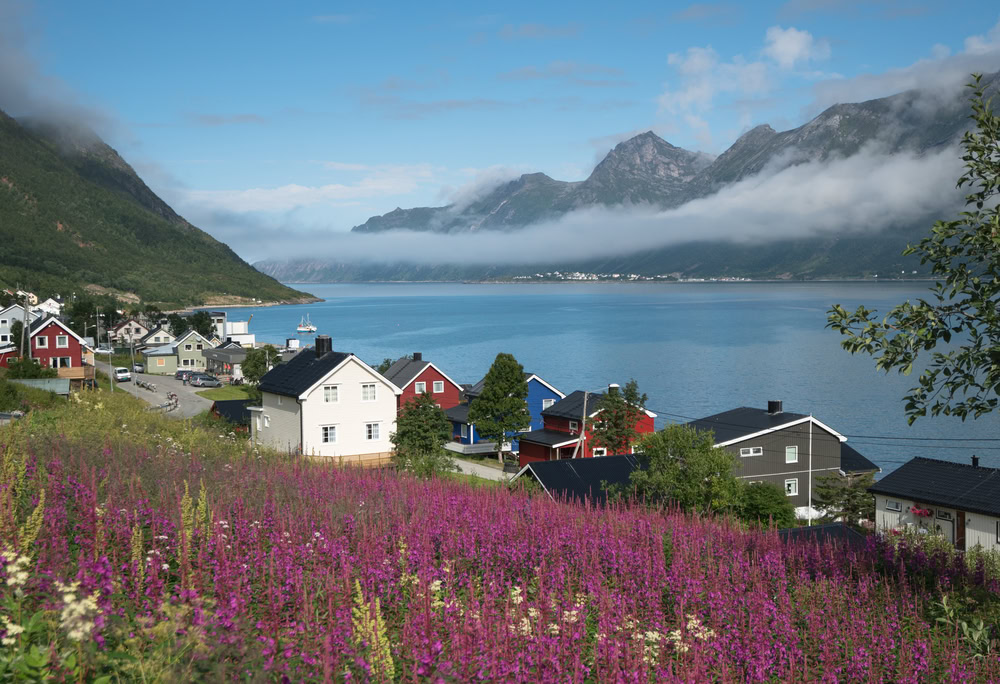 Senja