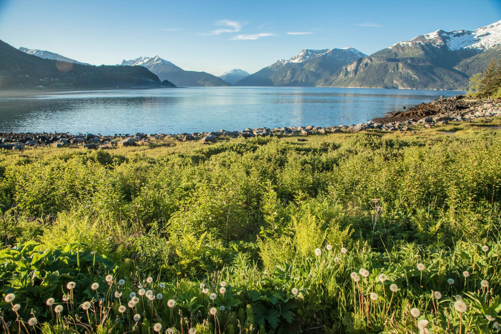 Haines