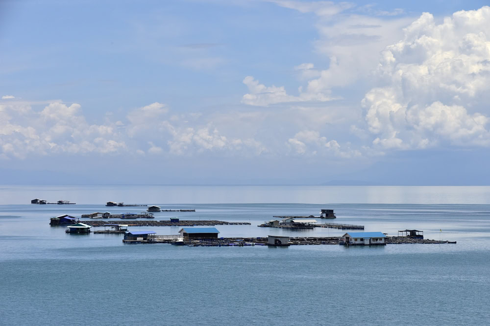Muara