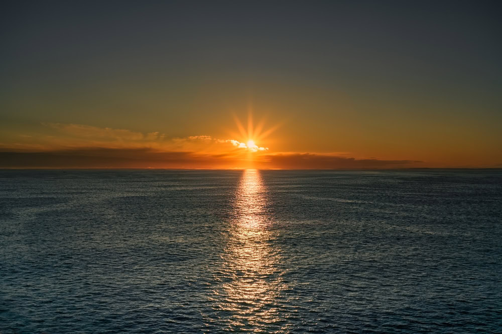 North Sea Cruising 