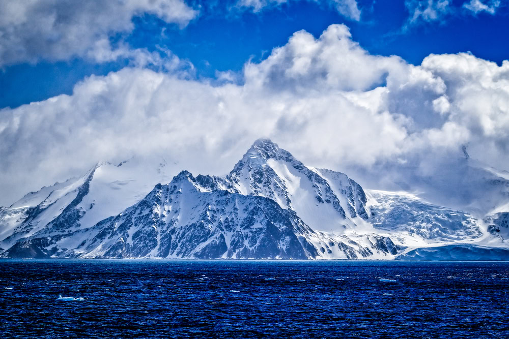 Elephant Island 