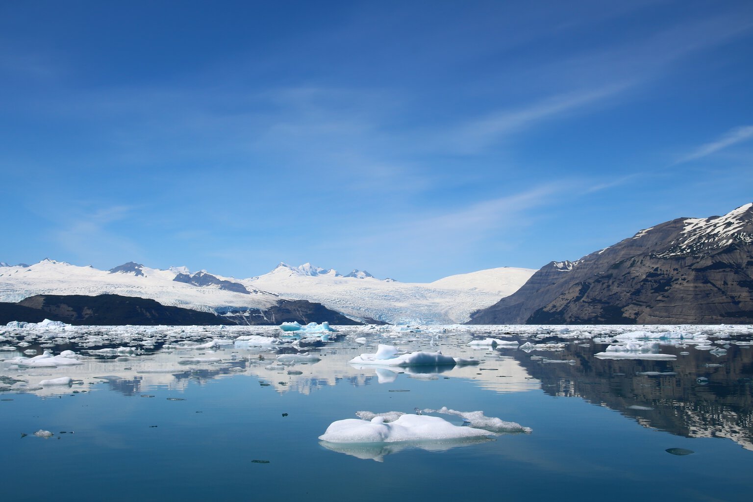 Icy Bay