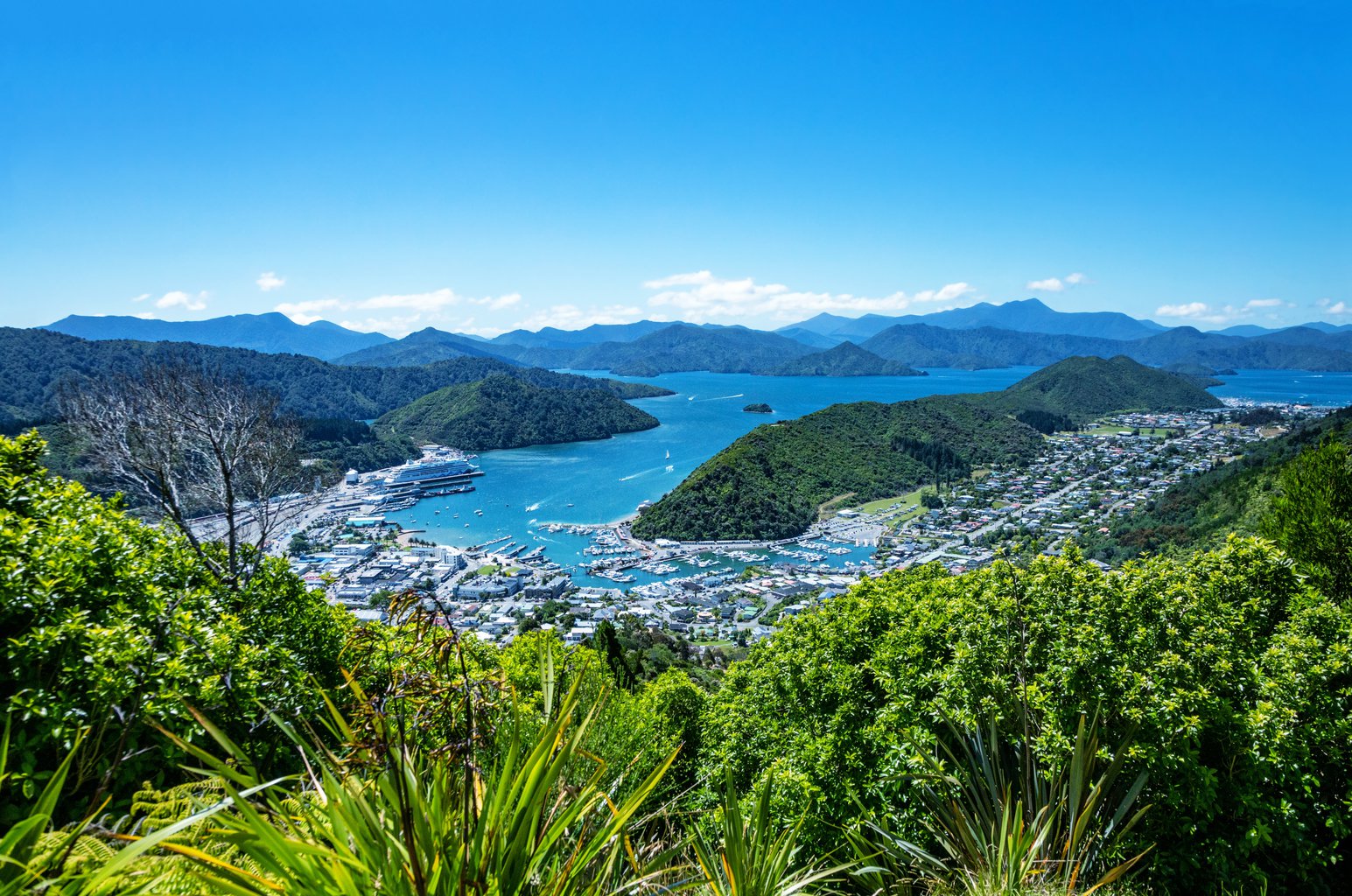 Picton