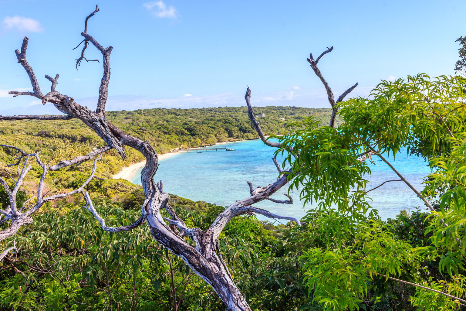 Lifou, Loyalty Island