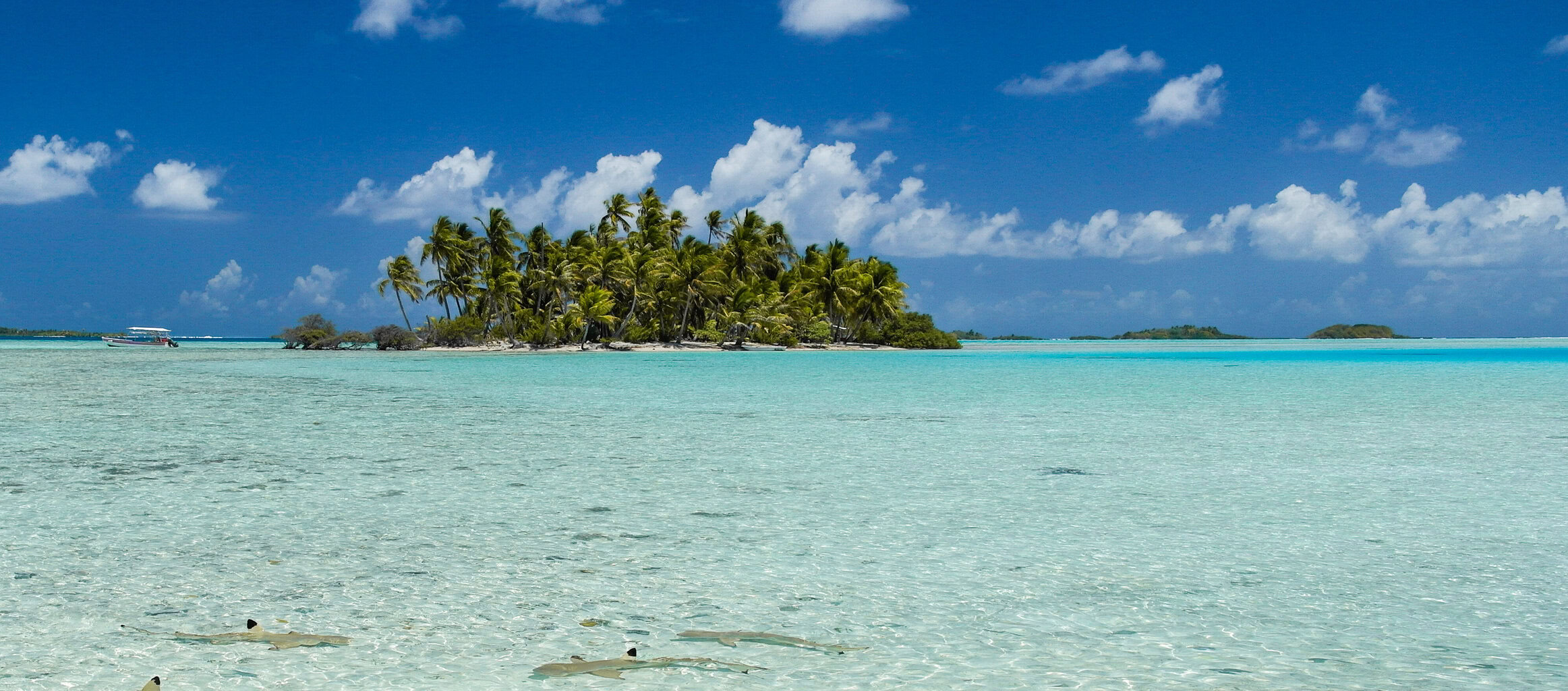 Rangiroa, French Polynesia