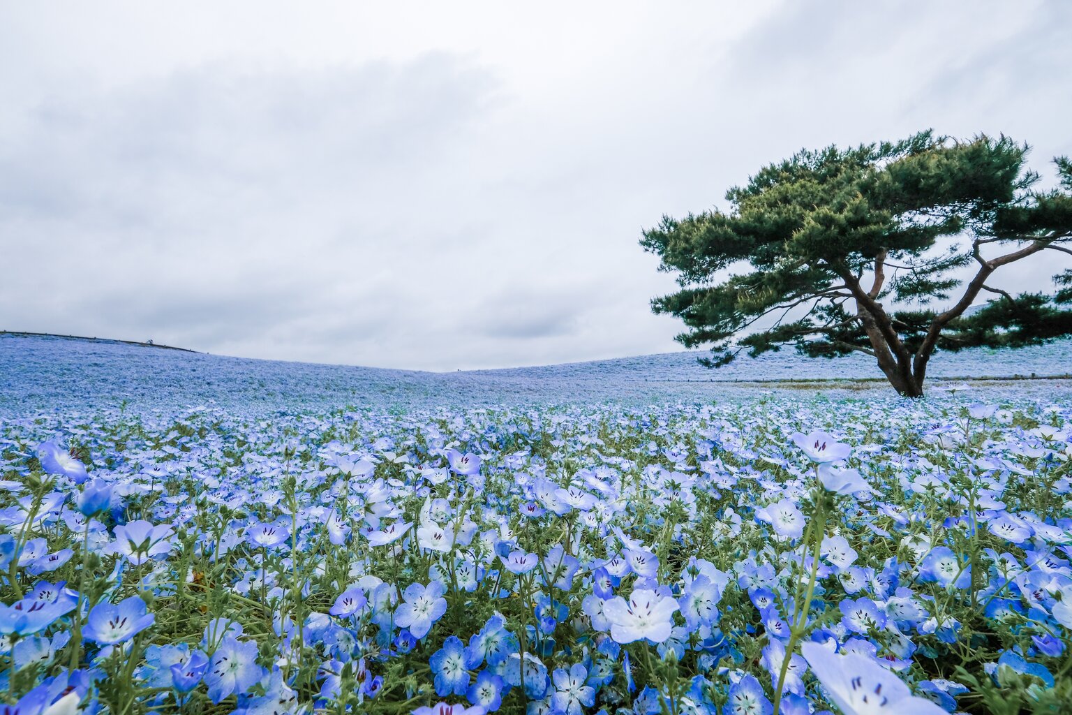 Hitachinaka, Japan