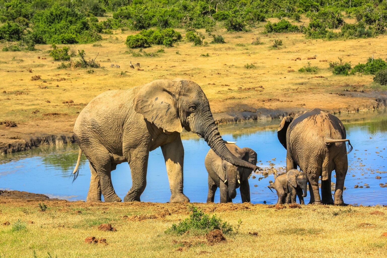 Port Elizabeth, South Africa