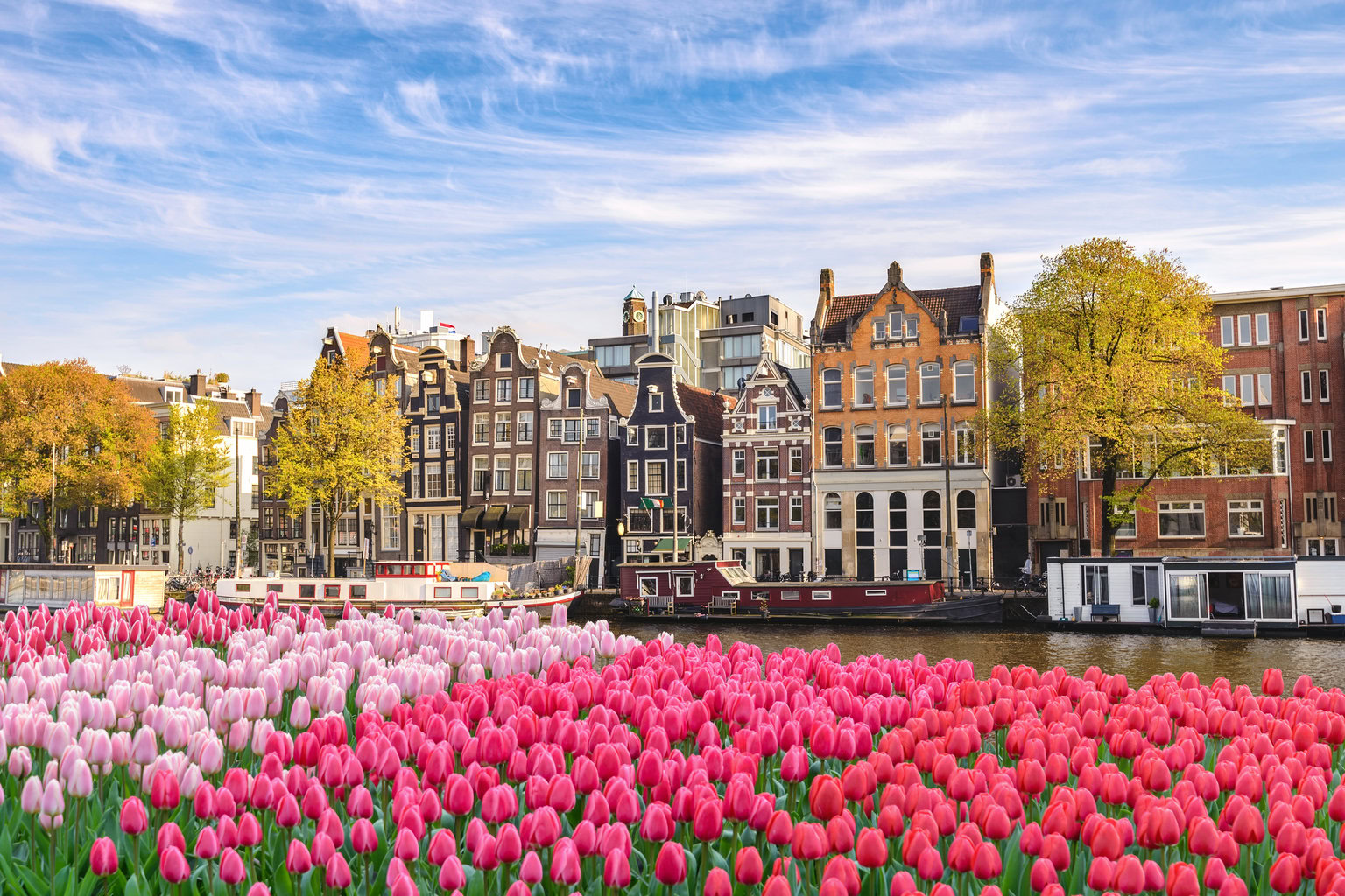 Fly to Amsterdam